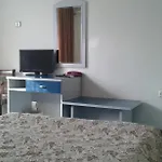Rodopi