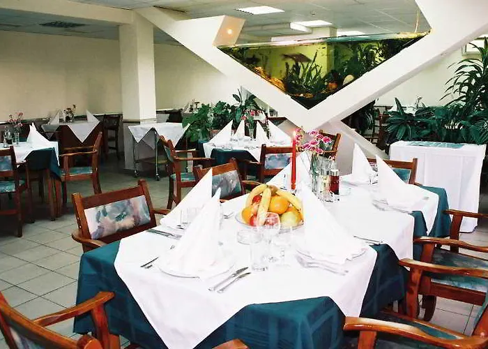 Rodopi 普罗夫迪夫